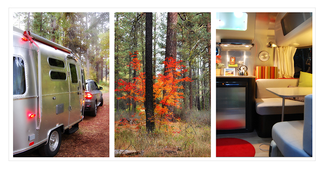 On the Metolius River, Oregon