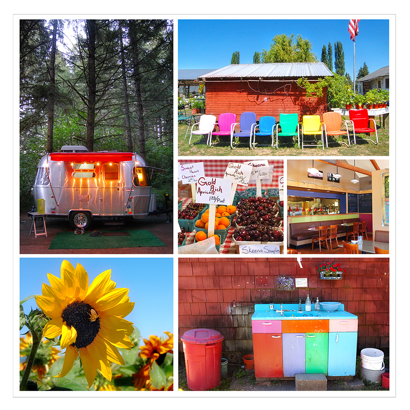 McIver State Park and Hood River Sunflowers