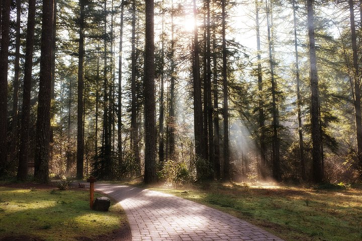 A fine northwest afternoon!