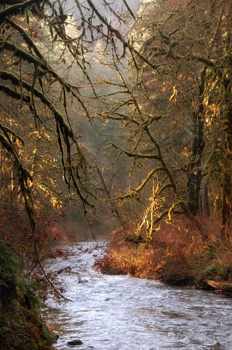 The sun gets low early!