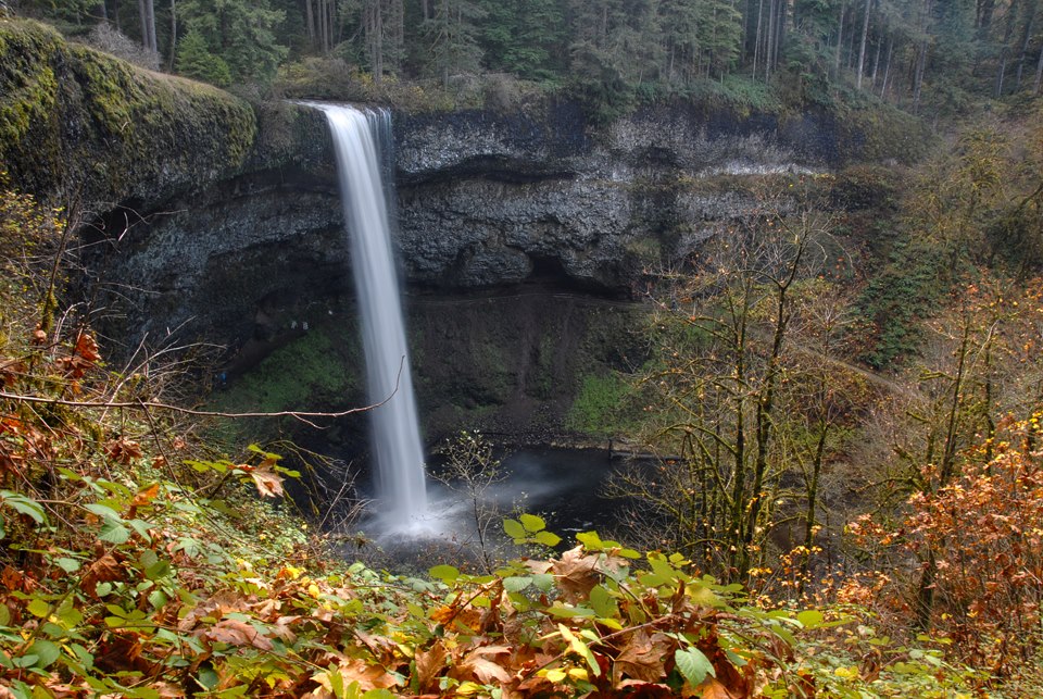 396738_4652538798725_1515376573_n