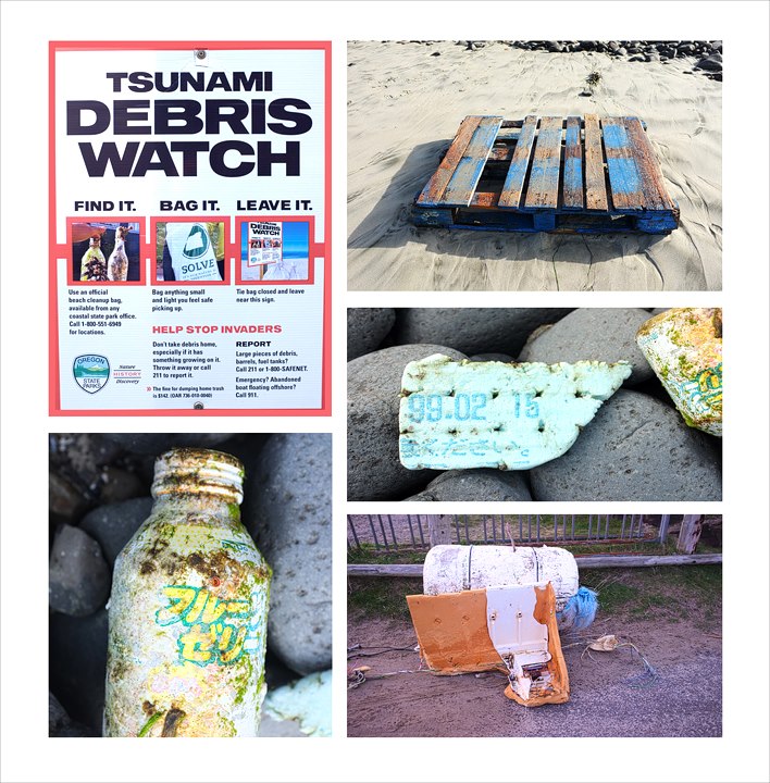 Japanese Tsunami Debris