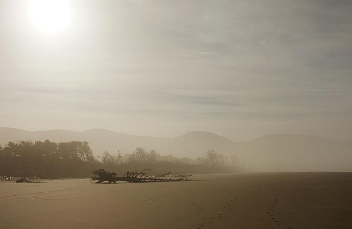 An early morning walk along the beach.