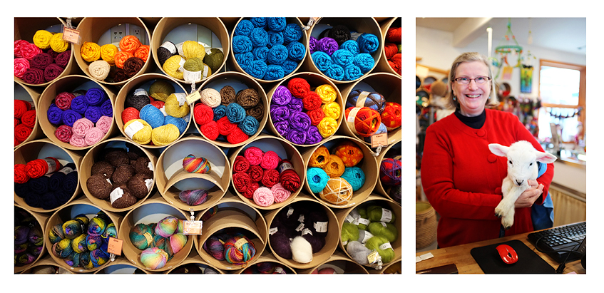 A fun little yarn shop in Manzanita. She was caring for a 6 day old lamb that had been rejected by her mother. she was quite the attraction walking through town on a leash.