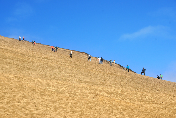 Climbing up the sand dunes with sleds in tow.