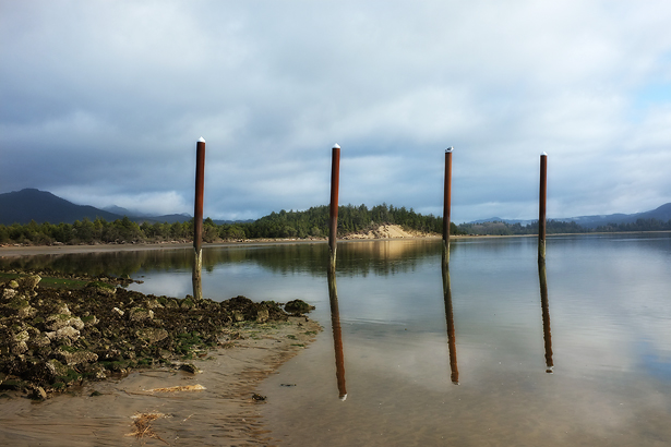 An early morning walk along the bay.