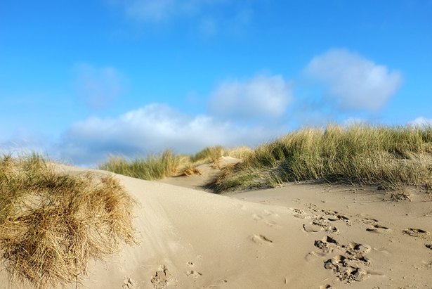 An early morning walk...look at that blue sky!