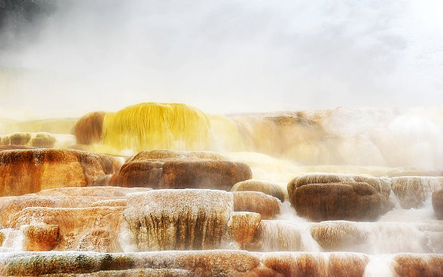 Mammoth Hot Springs