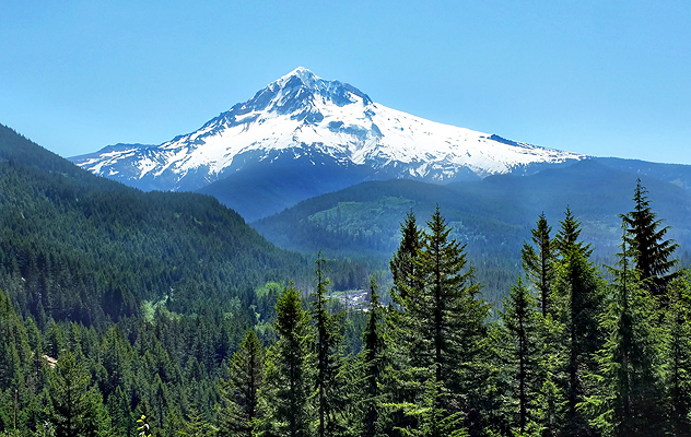 View of Mt. Hood from Lolo Pass Road