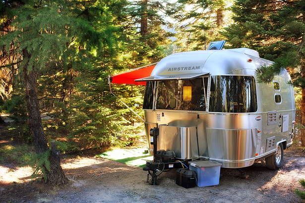 Nestled in the trees!