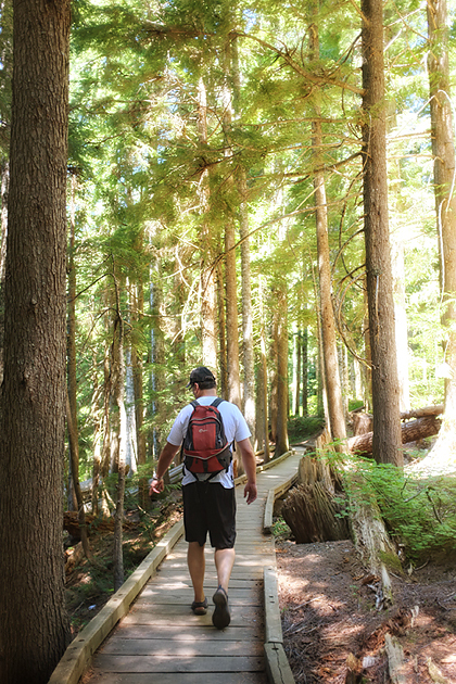 Boardwalks over wetlands....