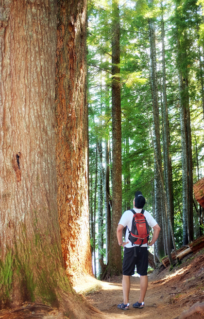 Puts things in perspective...