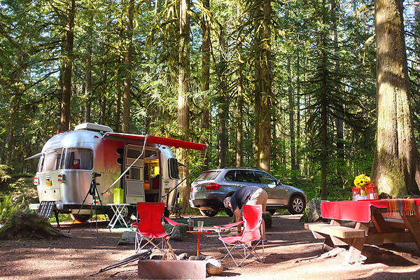 Site 8 along the creek