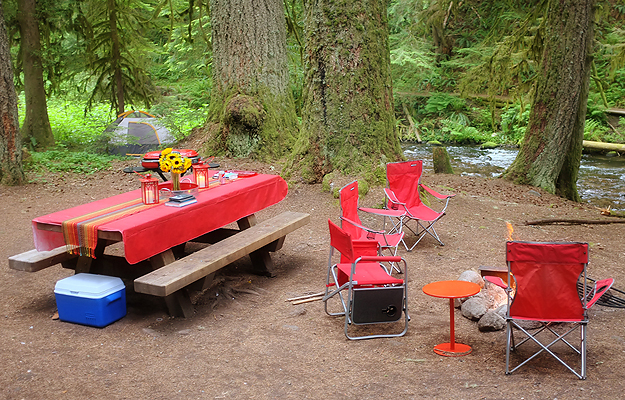 view of out set up under the old growth trees