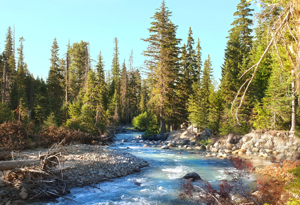The East Fork of the Hood River as seen through our kitchen window!