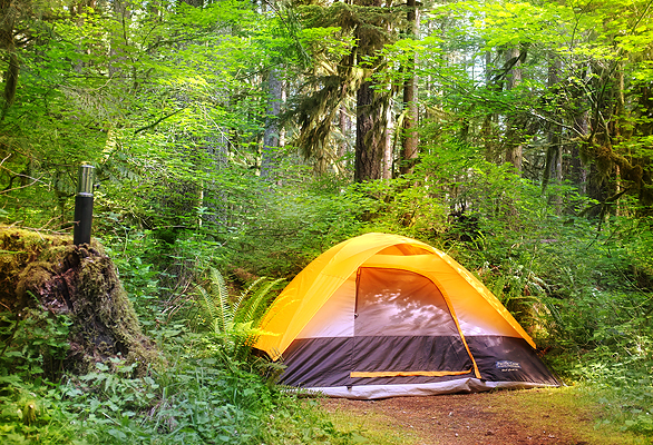 Fun to have kids camping with us!