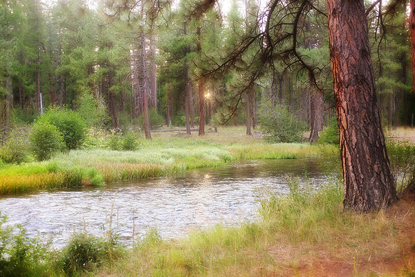 The Metolius as seen from our camp site.