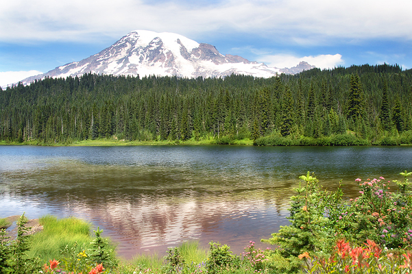 View of Reflection Lake on the way to Sunrise.