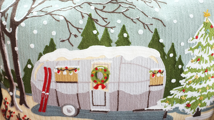 We got this neat Pottery Barn Pillow for Christmas…seemed like the perfect time to use it!