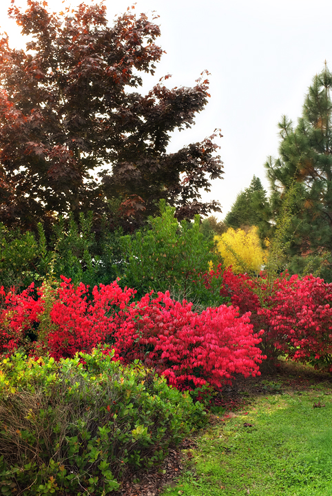 Foliage around our campsite was putting on quite a show!