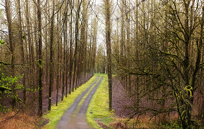 Evidence of the wet weather we've been having