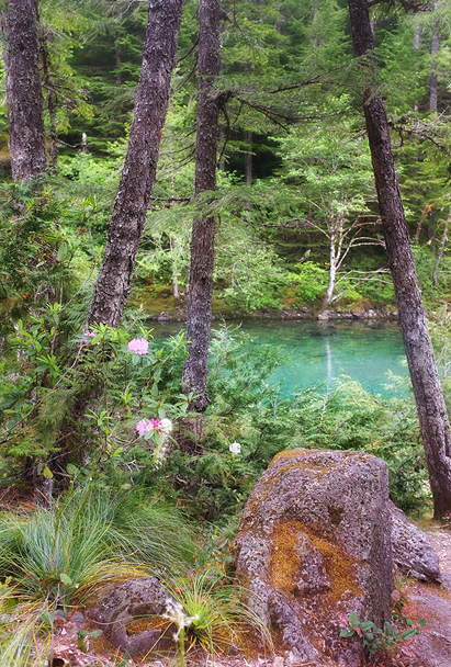 Leads you to pool after pool after pool!