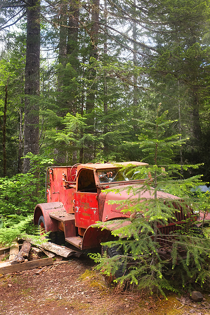 Neat old firetruck hiding in the forest