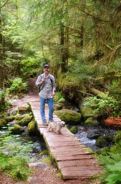 After you leave Sawmill Falls, you'll make your way along the hillside, through the forest with views of the creek in the valley below.