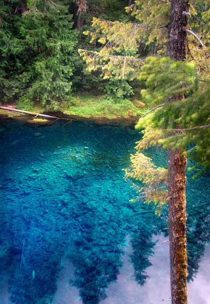 A view of the pool as the sun poked out.