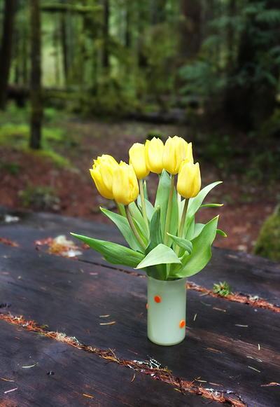 I always come prepared with a little of my own sunshine!