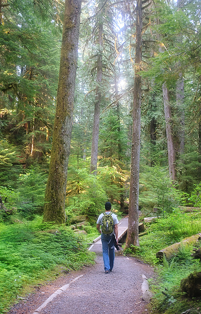 We didn't realize it, but his forest backed up to the Opal Creek Wilderness Area…lots of similar scenery!