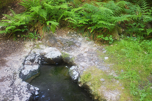 This is where the springs bubble out of the ground. The water is quite hot actually and apparently you need to keep refilling the tubs with buckets of cold water.