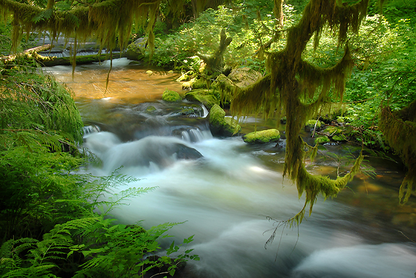Camp Creek that runs along the perimeter of camp.
