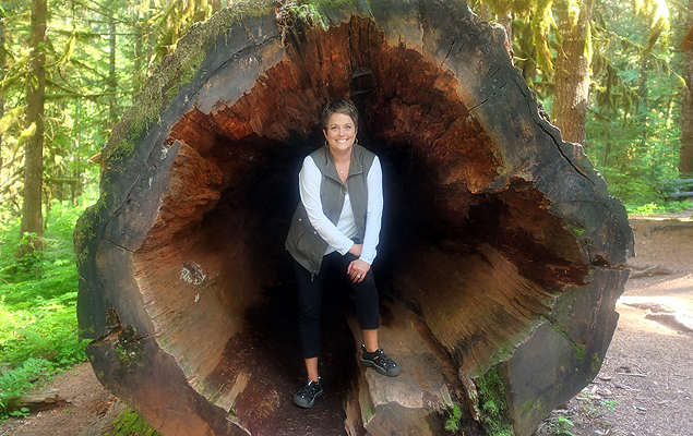 Lots of old growth trees