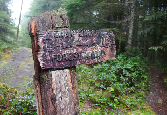 Old forest trail signs