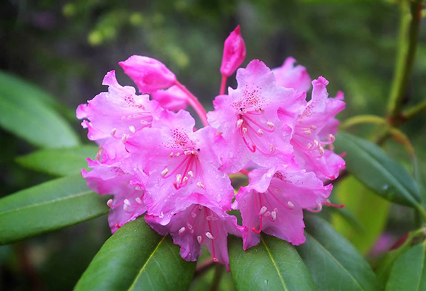 10366000_10203510246784066_7031369644141040455_n