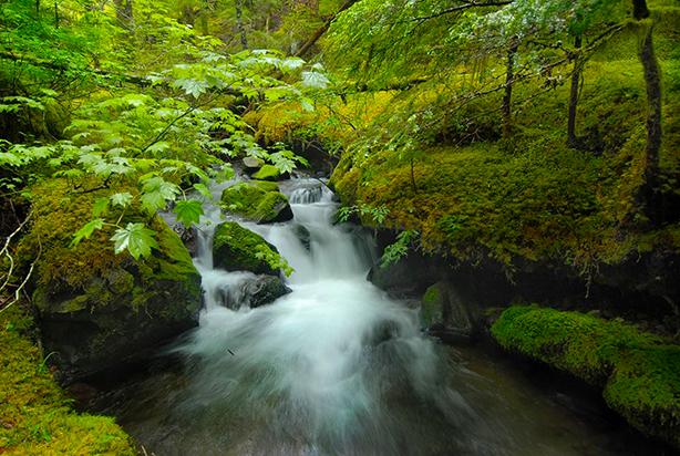 10434139_10203510520910919_2626857963257883209_n