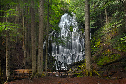 10463909_10203509807693089_8857622686847932163_n