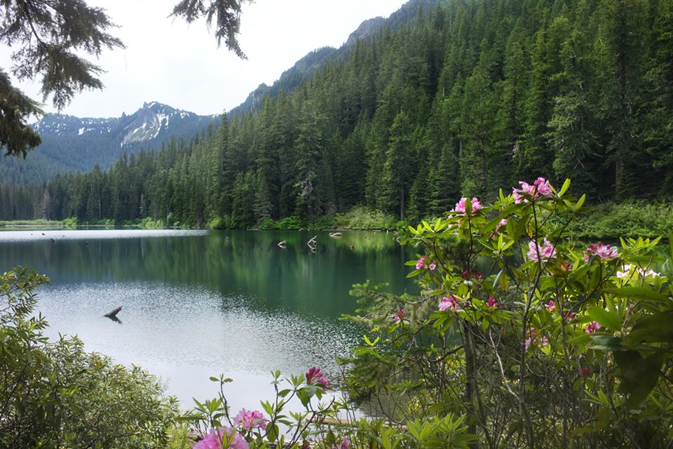 Another view of the lake on the way out...