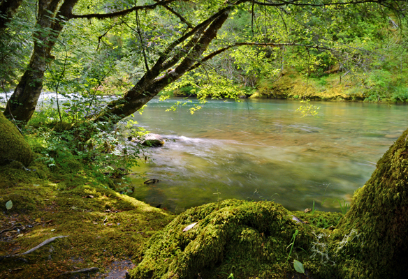 View of the river from our campsite.