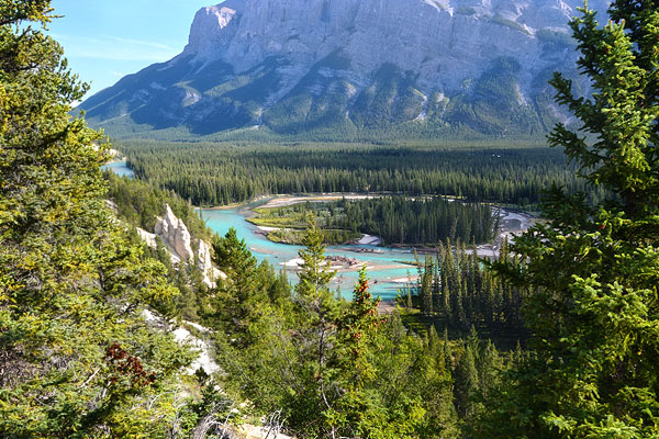 Another view of the Bow River as we were wandering around looking for wildlife.