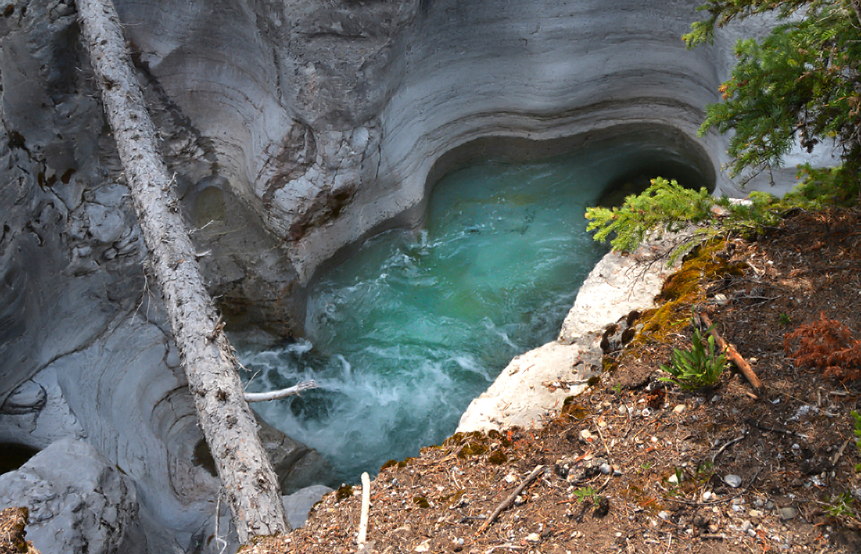 Walking through Maligne Canyon.