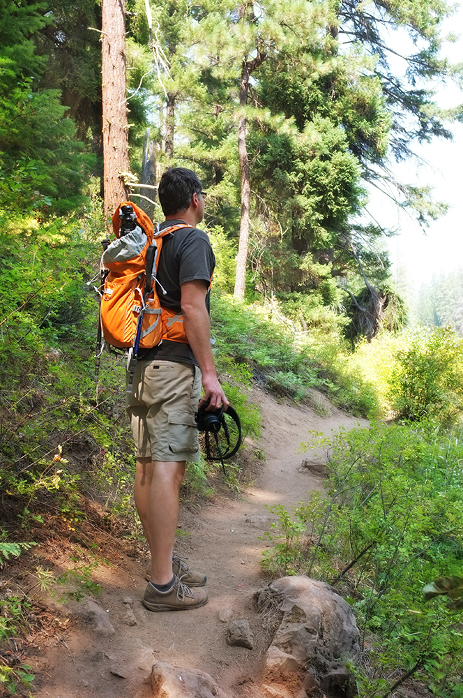 Love hiking through the ponderosa pines...