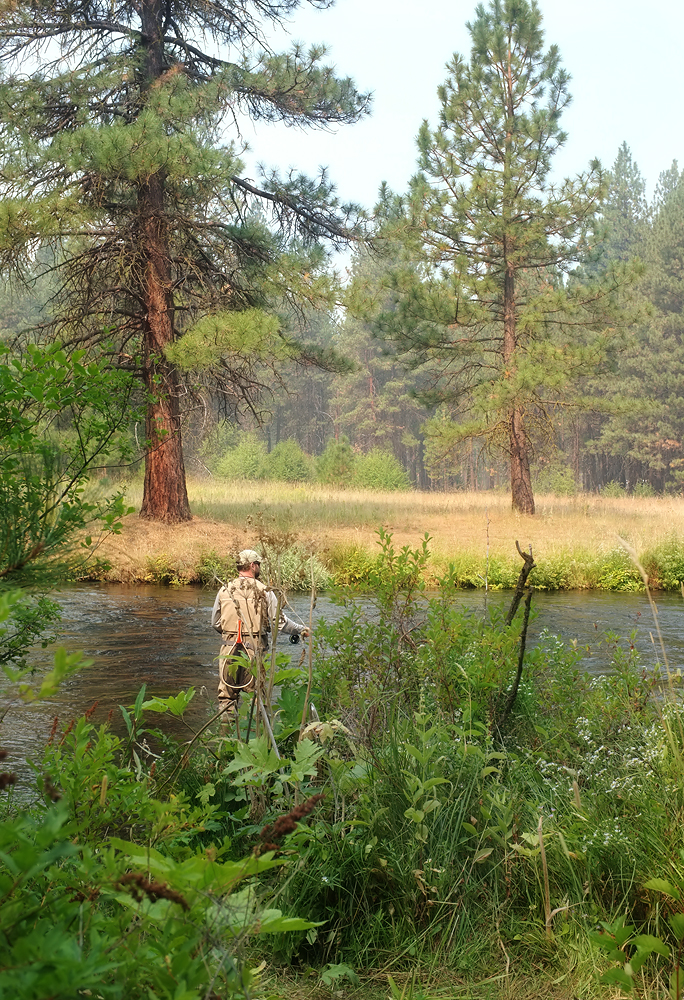 A fisherman's paradise!