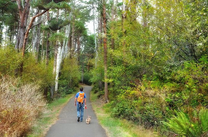 Tons and tons of walking trails. It was a two mile walk to the wreck of the Peter Iredale from where we were staying. Lots of pretty scenery and all paved bike trails along the way.