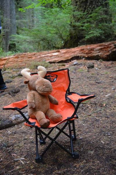 11149358_10206853478122760_3819973756502416235_n