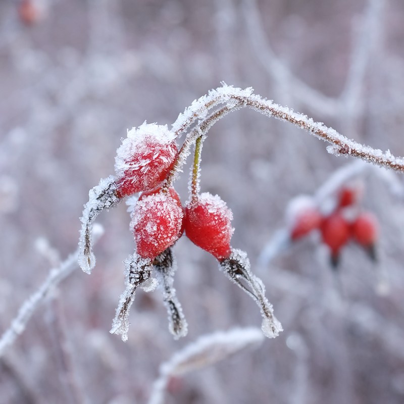 A very cold start to our day!