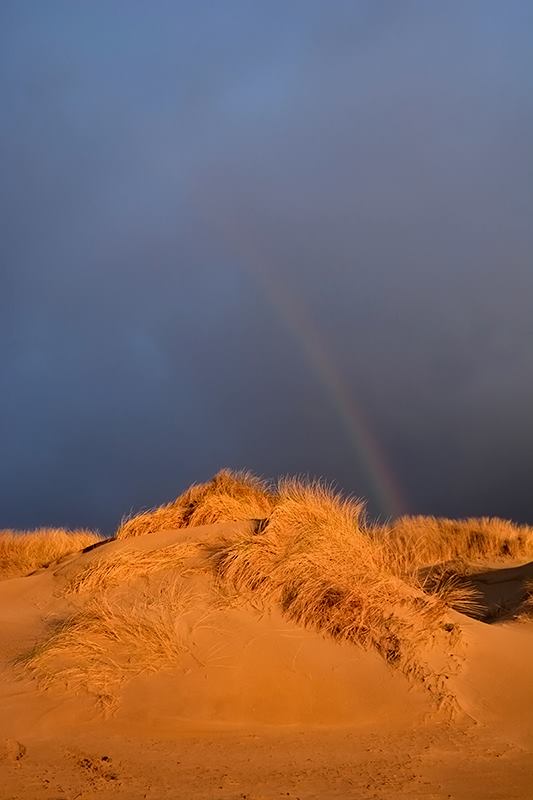 12376199_10207613336158736_34598490235845762_n