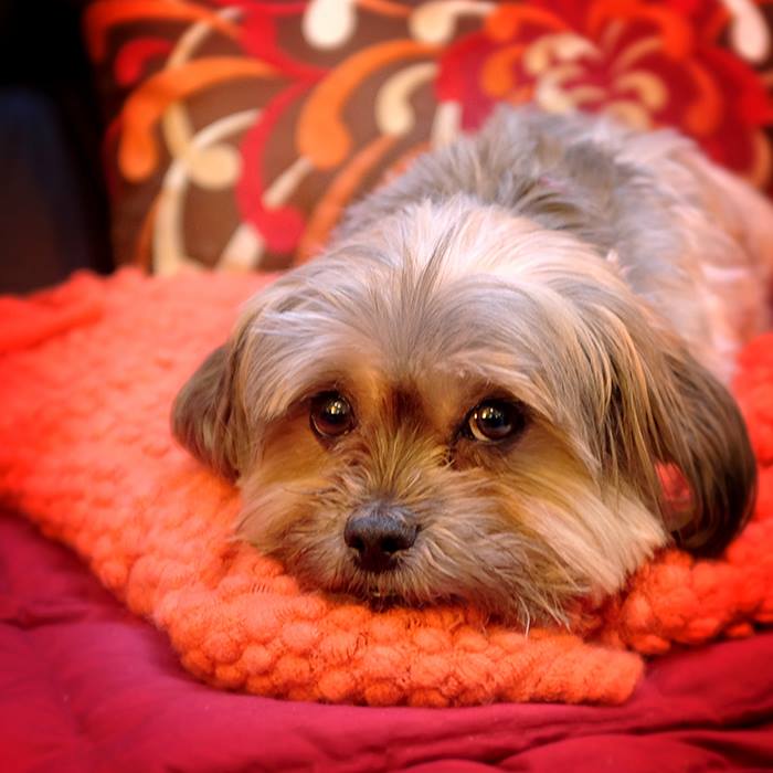 12510431_10207531165904531_4930108492827032771_n