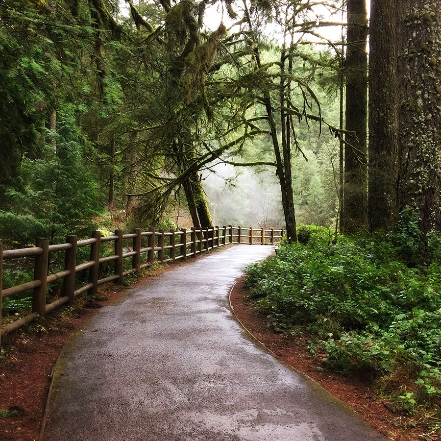 12548917_10207531164664500_3826225344425415635_n